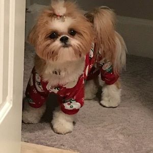 Meet your Posher, Loida